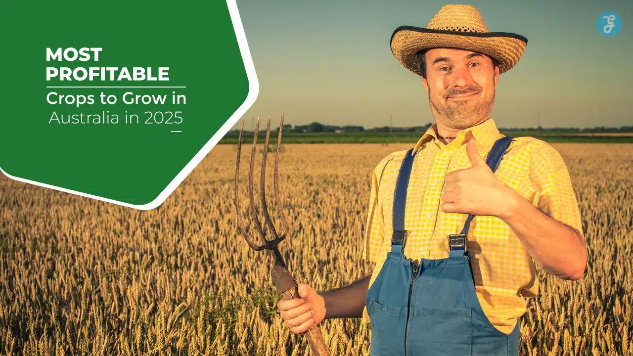Profitable Crops to Maximize Yields and ROI in Australia
