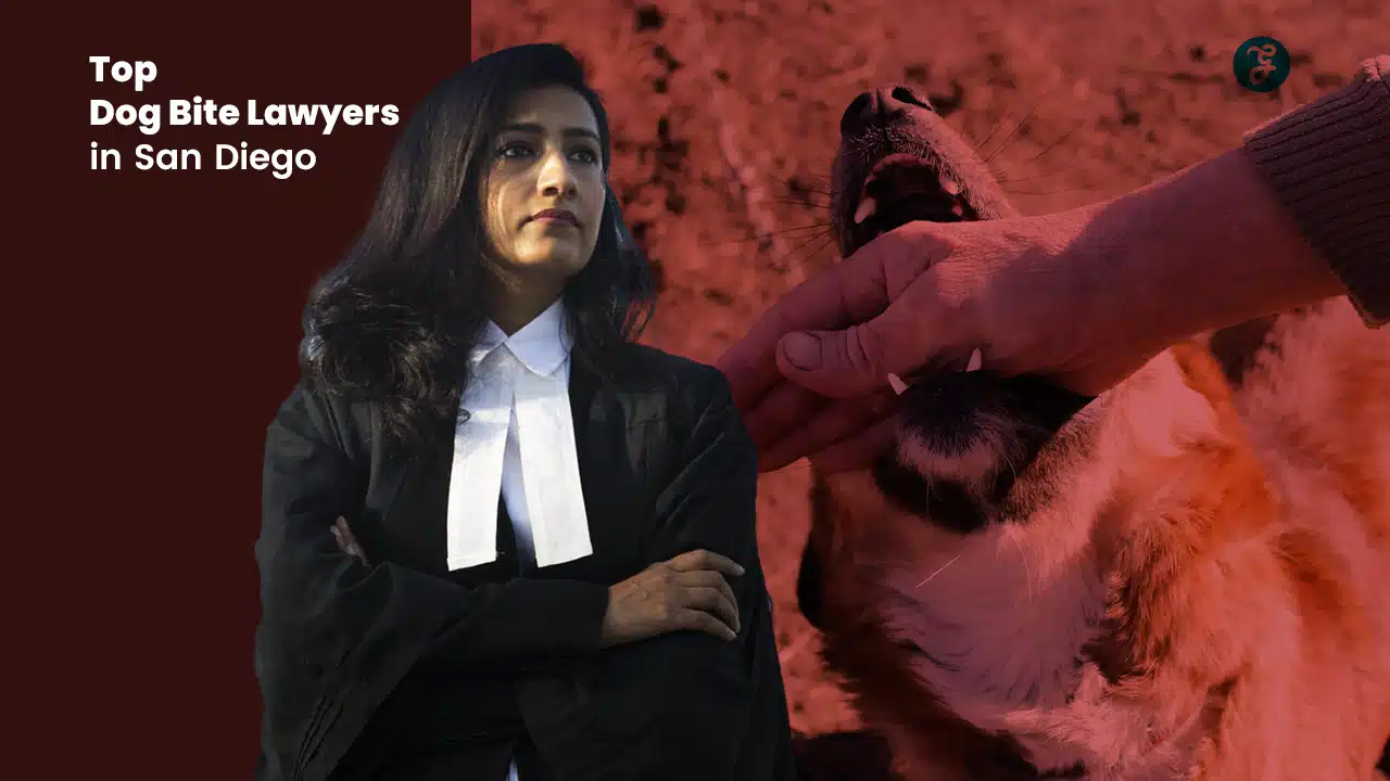 Dog Bite Lawyers in San Diego