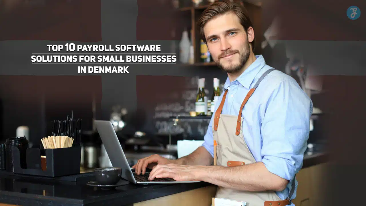 Payroll Software Solutions for Small Businesses in Denmark