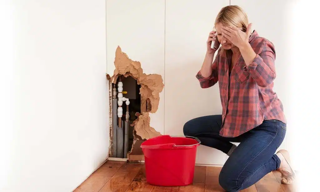 Professional plumber in Australia