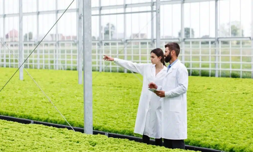 Vertical Farming and Hydroponics