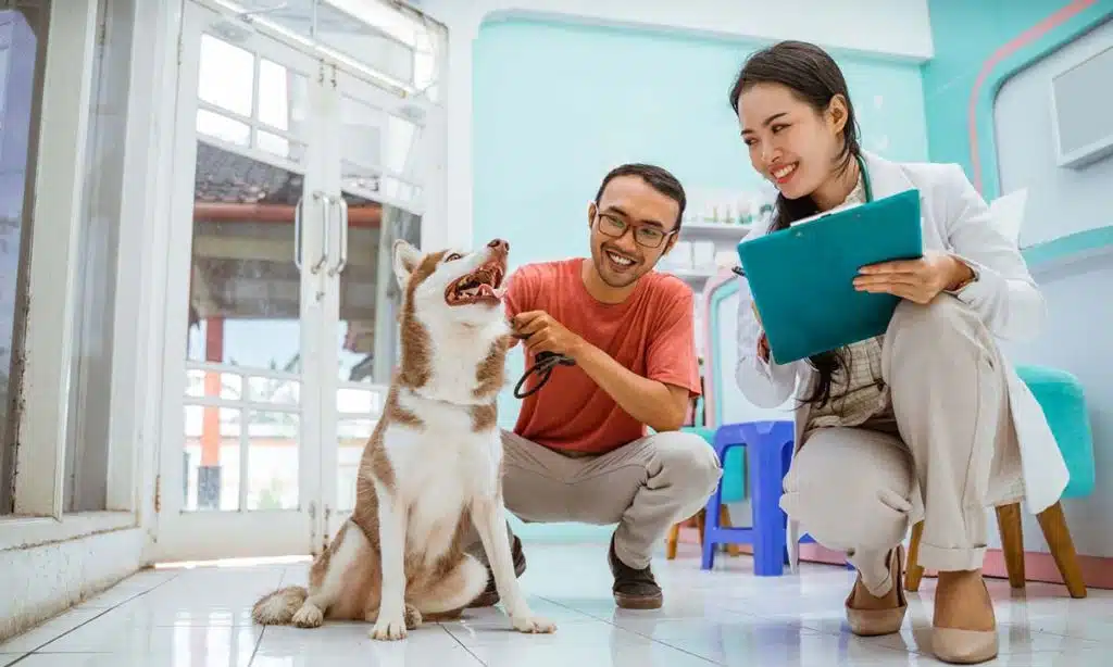 Top Pet Insurance in Australia