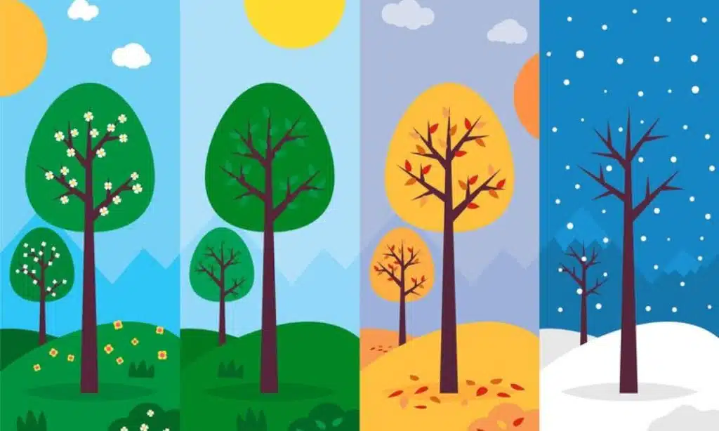 Year-Round Growing Seasons