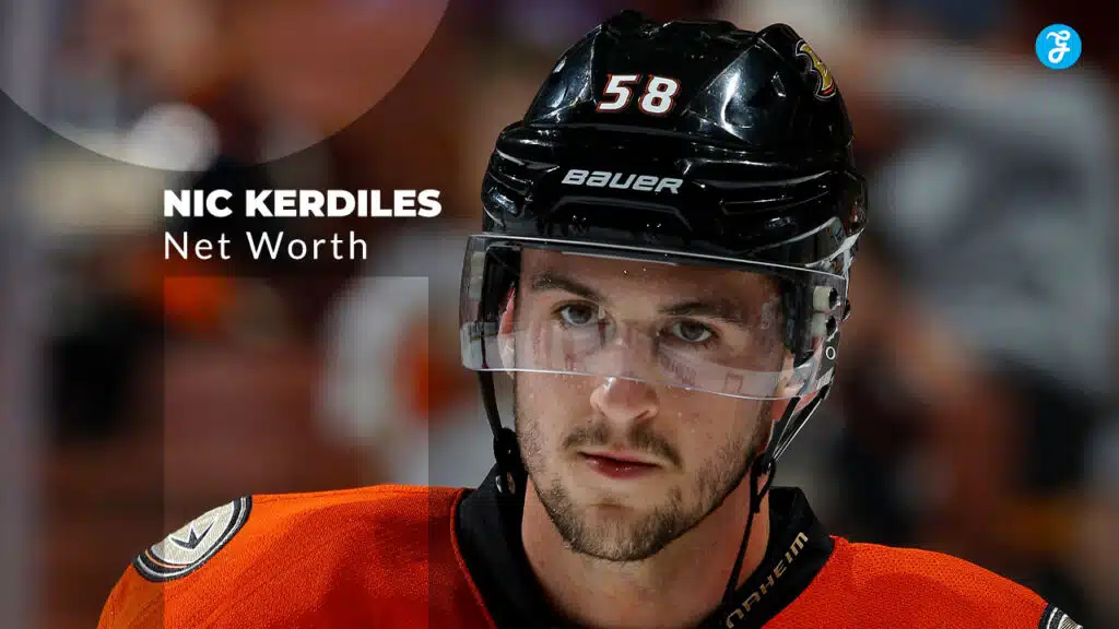 nic kerdiles net worth