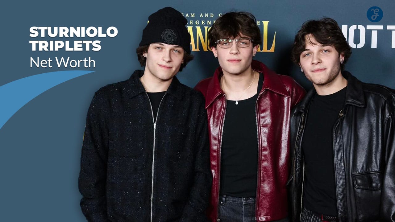 sturniolo triplets net worth