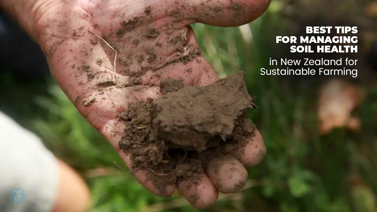 tips for managing soil health in New Zealand