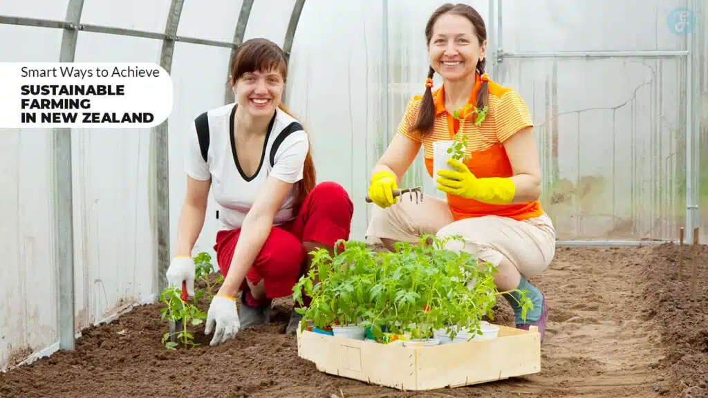 Sustainable Farming in New Zealand