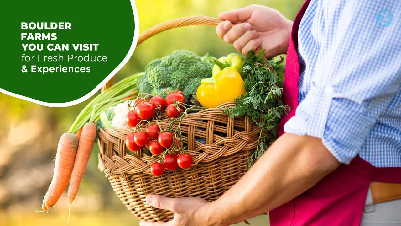 Farms You Can Visit for Fresh Produce