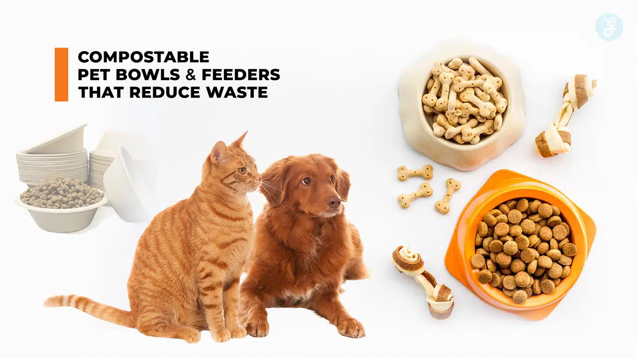 Compostable Pet Bowls and Feeders That Reduce Waste