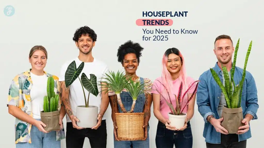 Houseplant trends for 2025