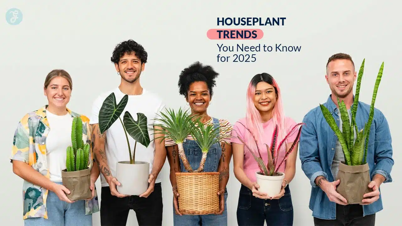 Houseplant trends for 2025