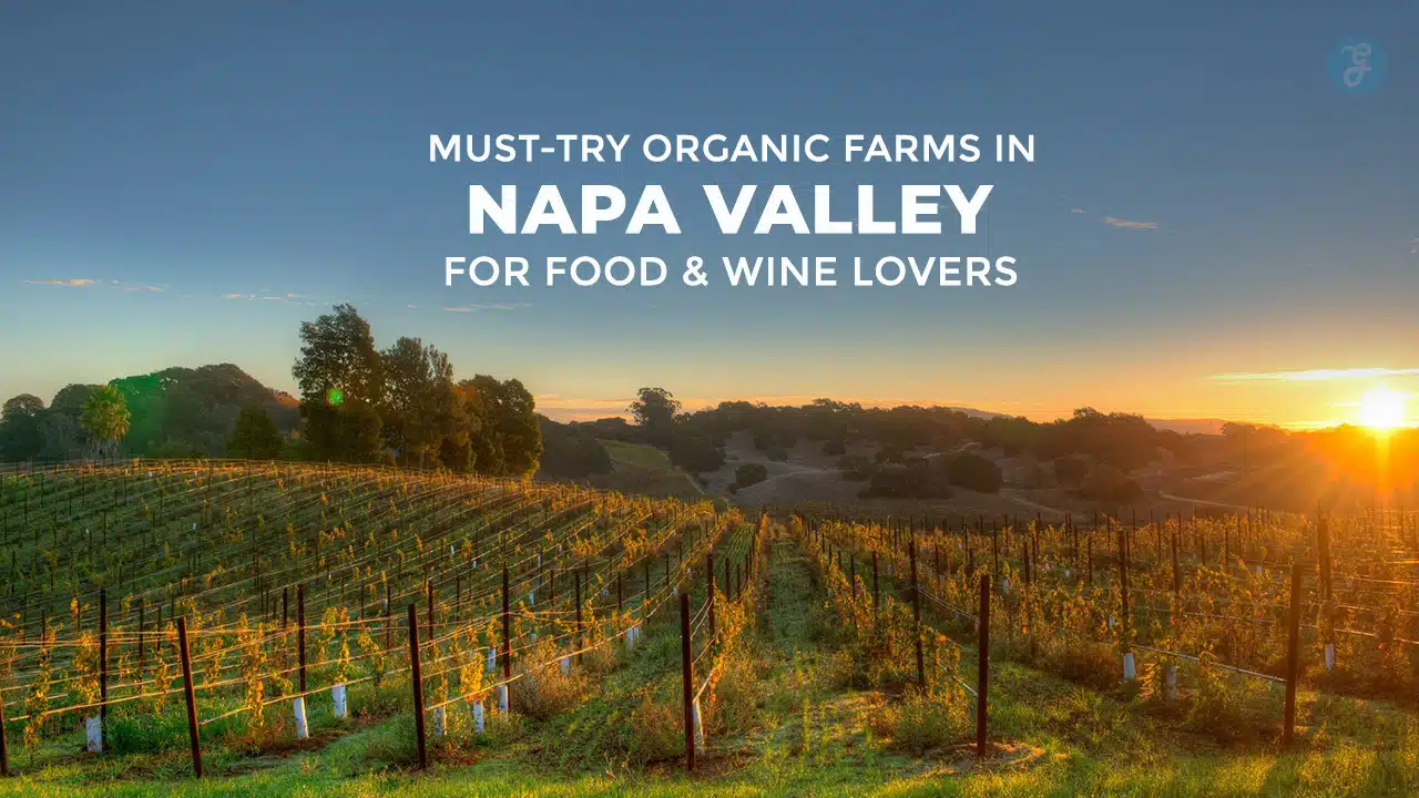 Best Organic Farms in Napa Valley