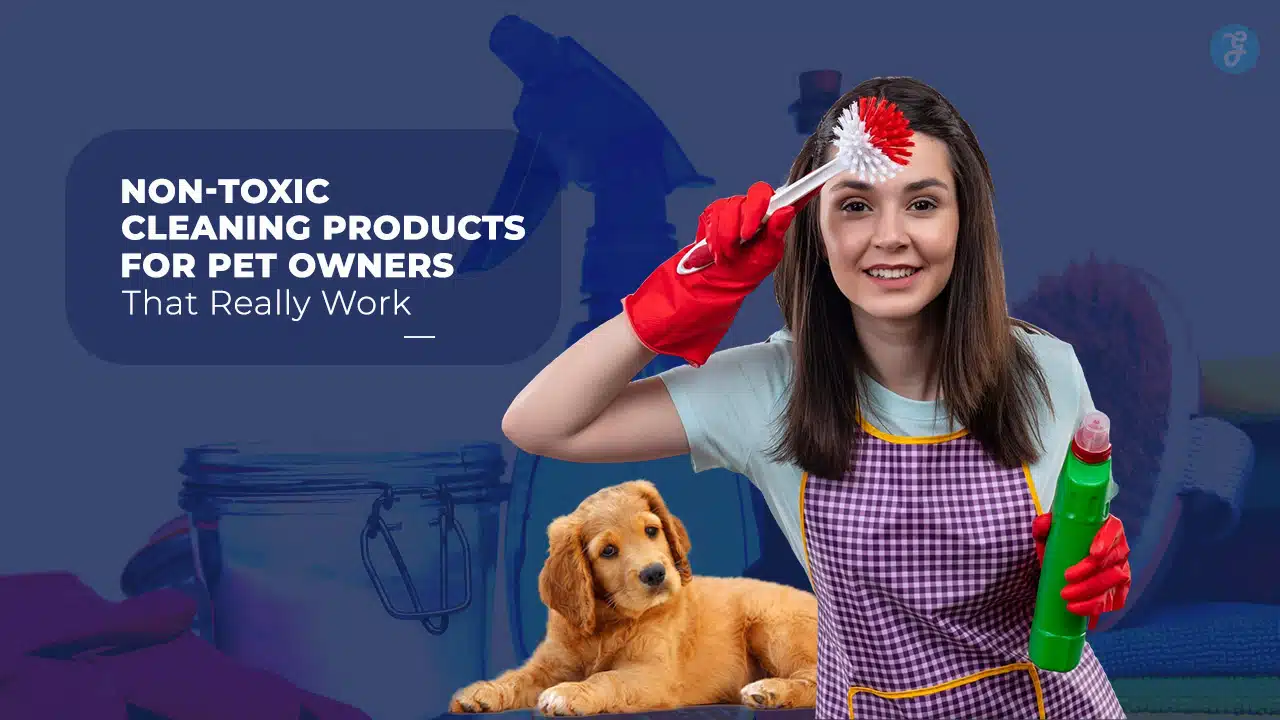 Non-Toxic Cleaning Products for Pet Owners