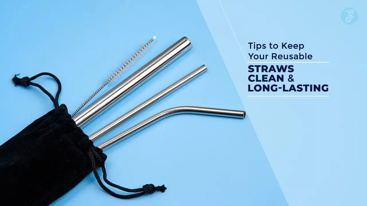 Reusable Straw Cleaning Tips