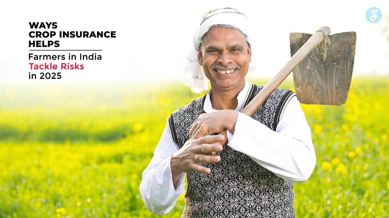 Crop Insurance Supports Farmers in India