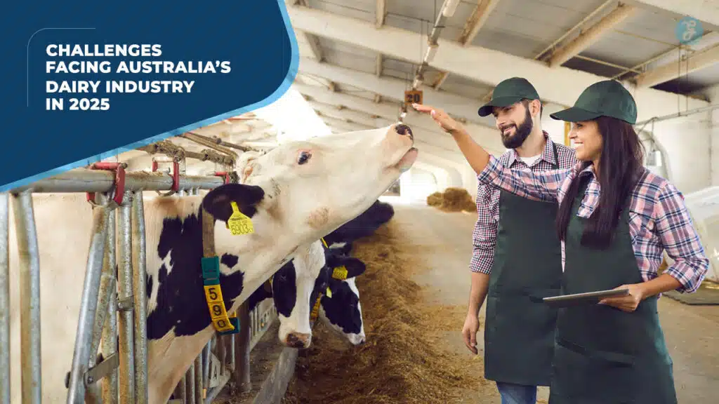 Dairy Industry Challenges in Australia