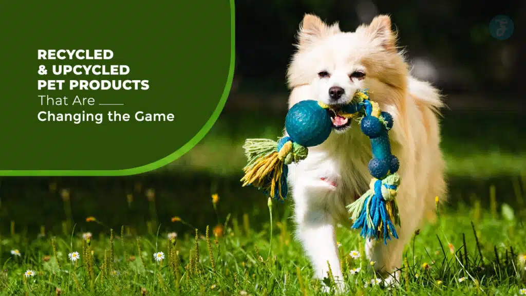 Recycled and Upcycled Pet Products