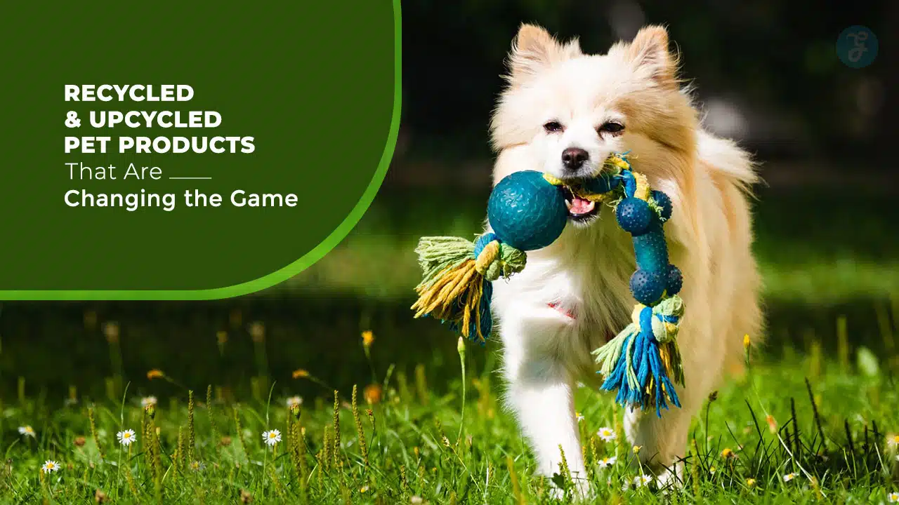 Recycled and Upcycled Pet Products