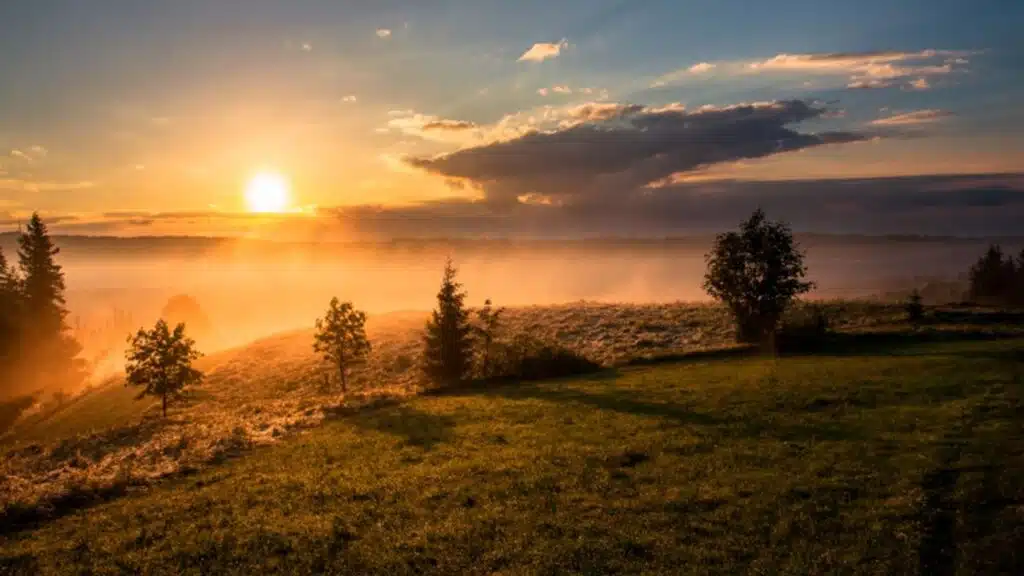 Protect Your Skin During Summer