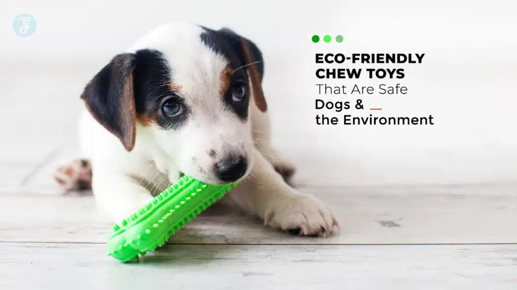 Eco-Friendly Chew Toys For Dogs and Environment