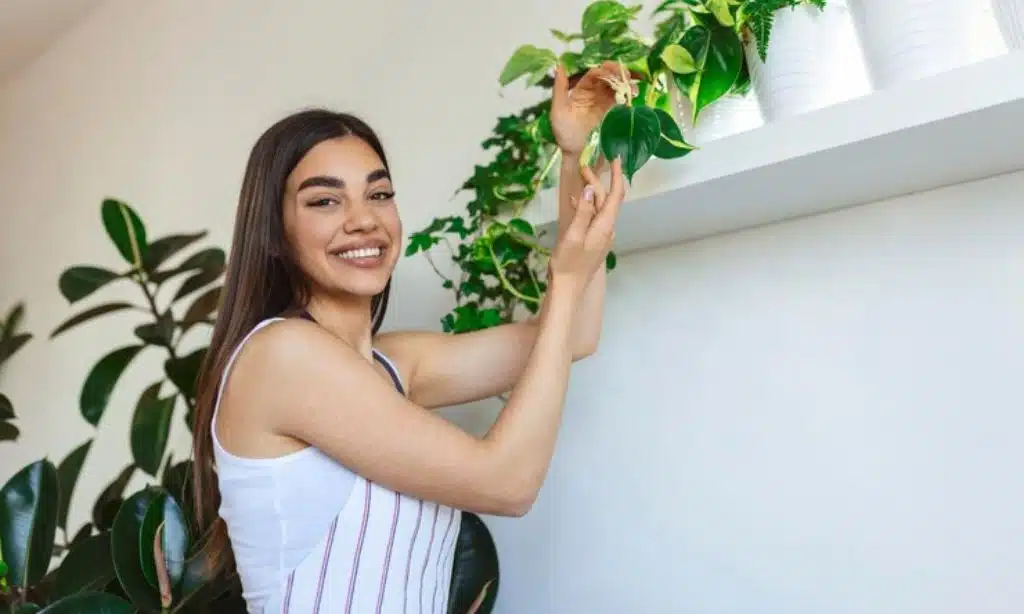 Add Greenery to Enhance Your Mood