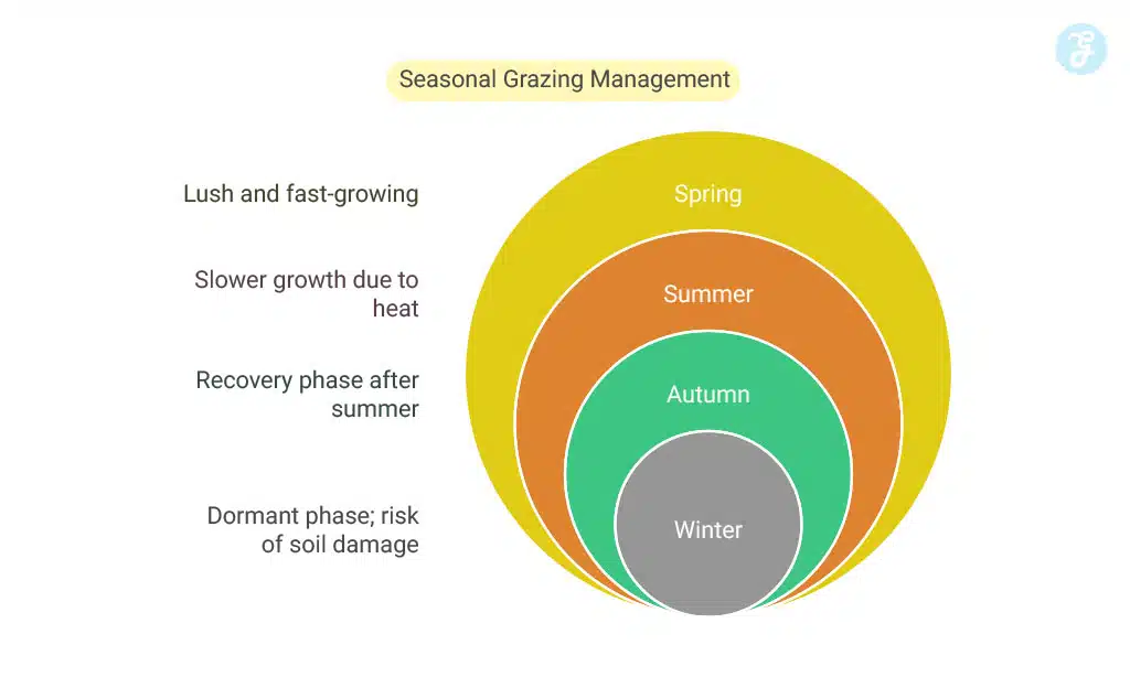Assess Your Pasture Condition