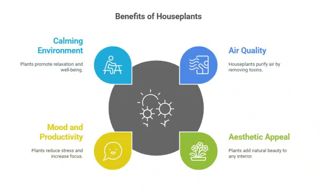 Benefits of Styling Houseplants in Your Home