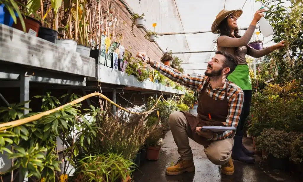 California’s Farm-to-Table Movement