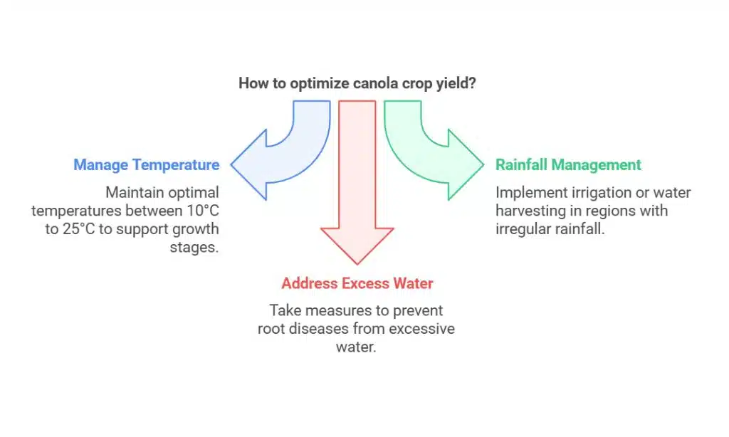 Climatic and Environmental Considerations