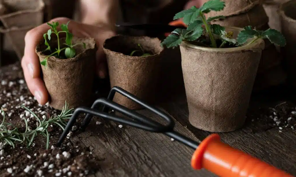 DIY Planters for Gardening