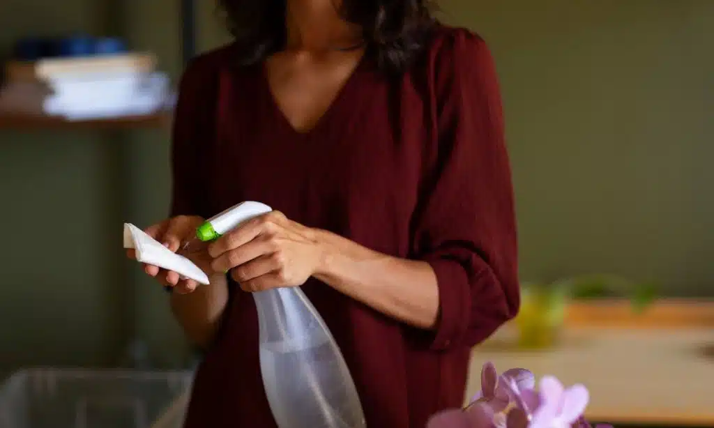 Disinfect Periodically with Natural Solutions