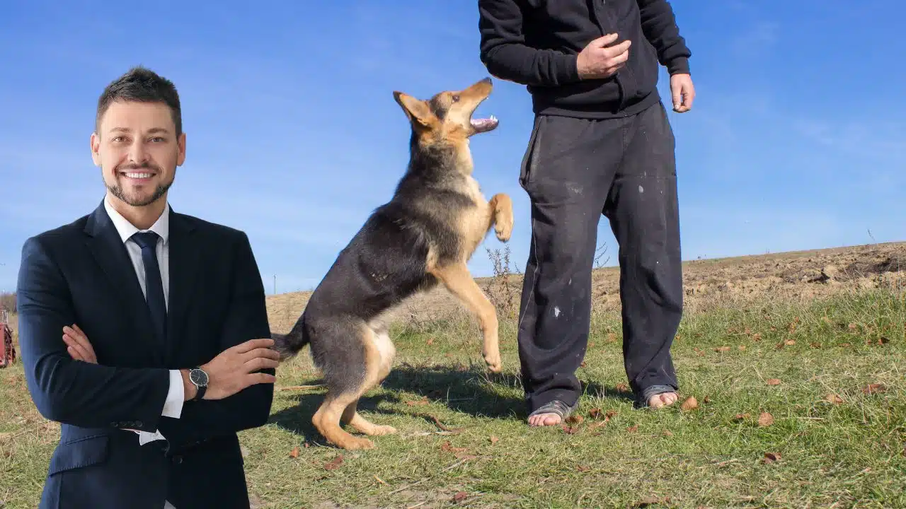 Dog Bite Lawyers in Alaska