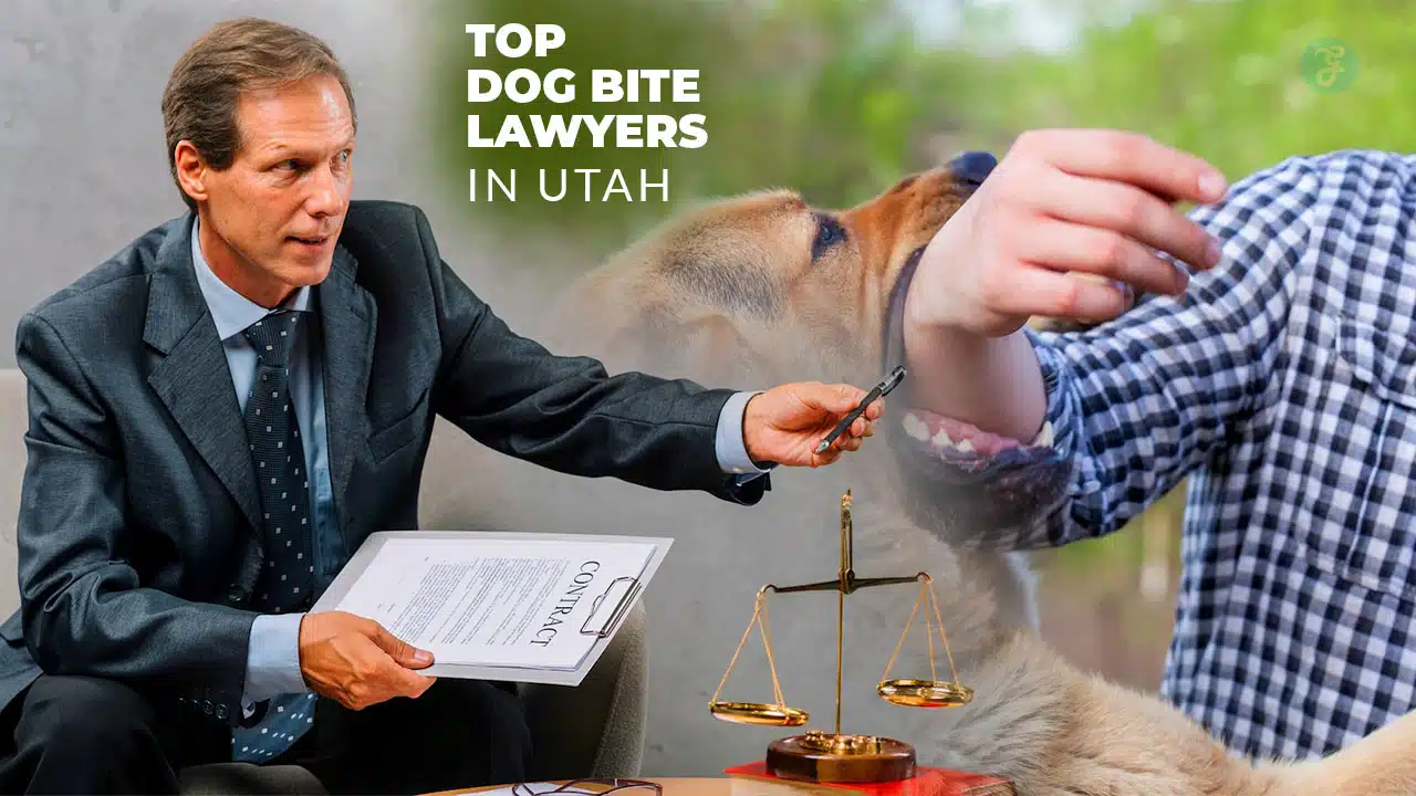 Dog Bite Lawyers in Utah