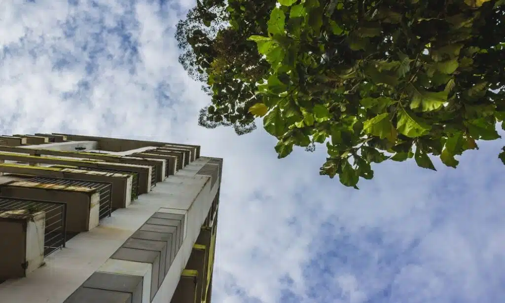 Eco-Friendly Buildings Aren’t as Durable