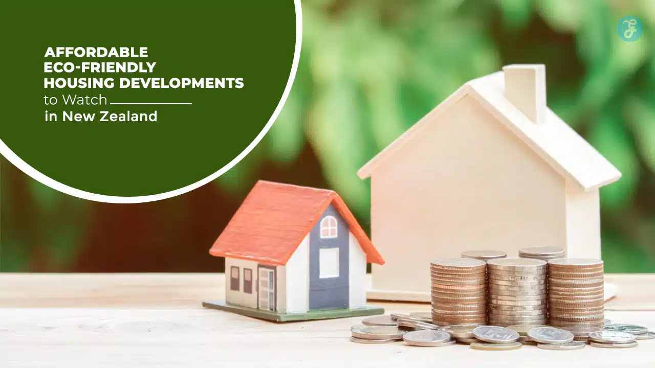 Eco-Friendly Housing Projects in New Zealand