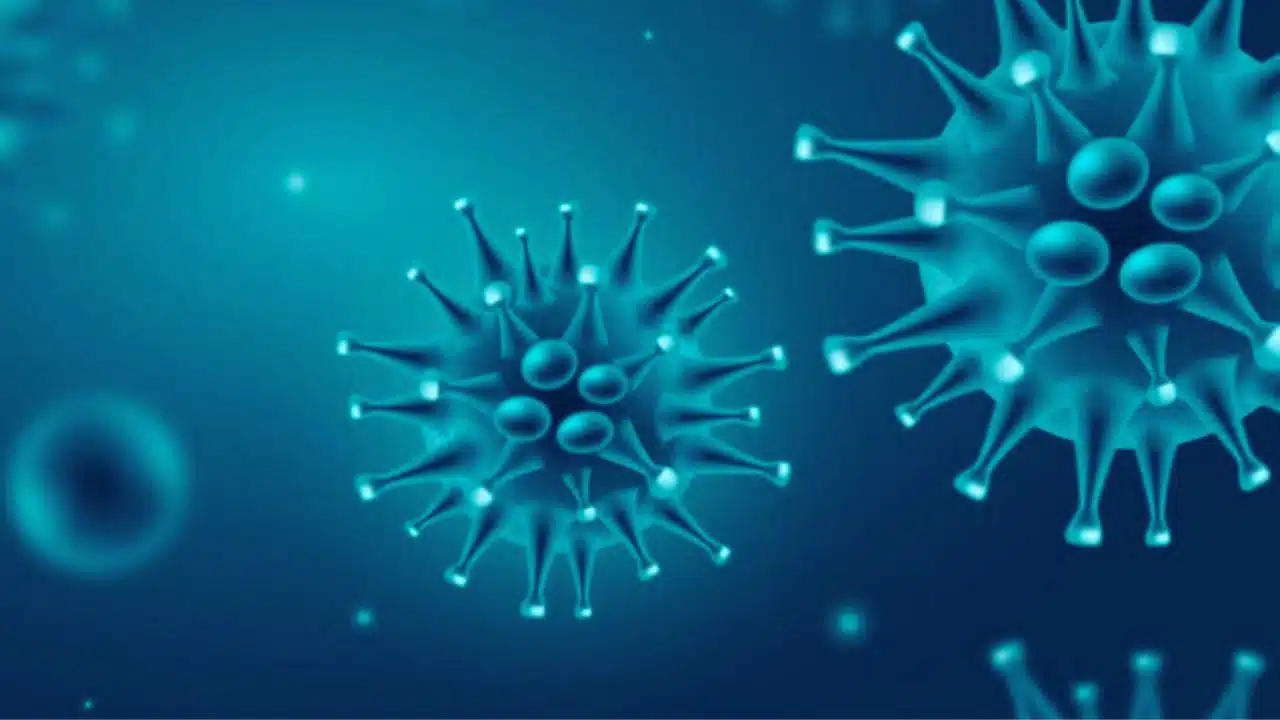 HMPV Cases Decline in Northern China