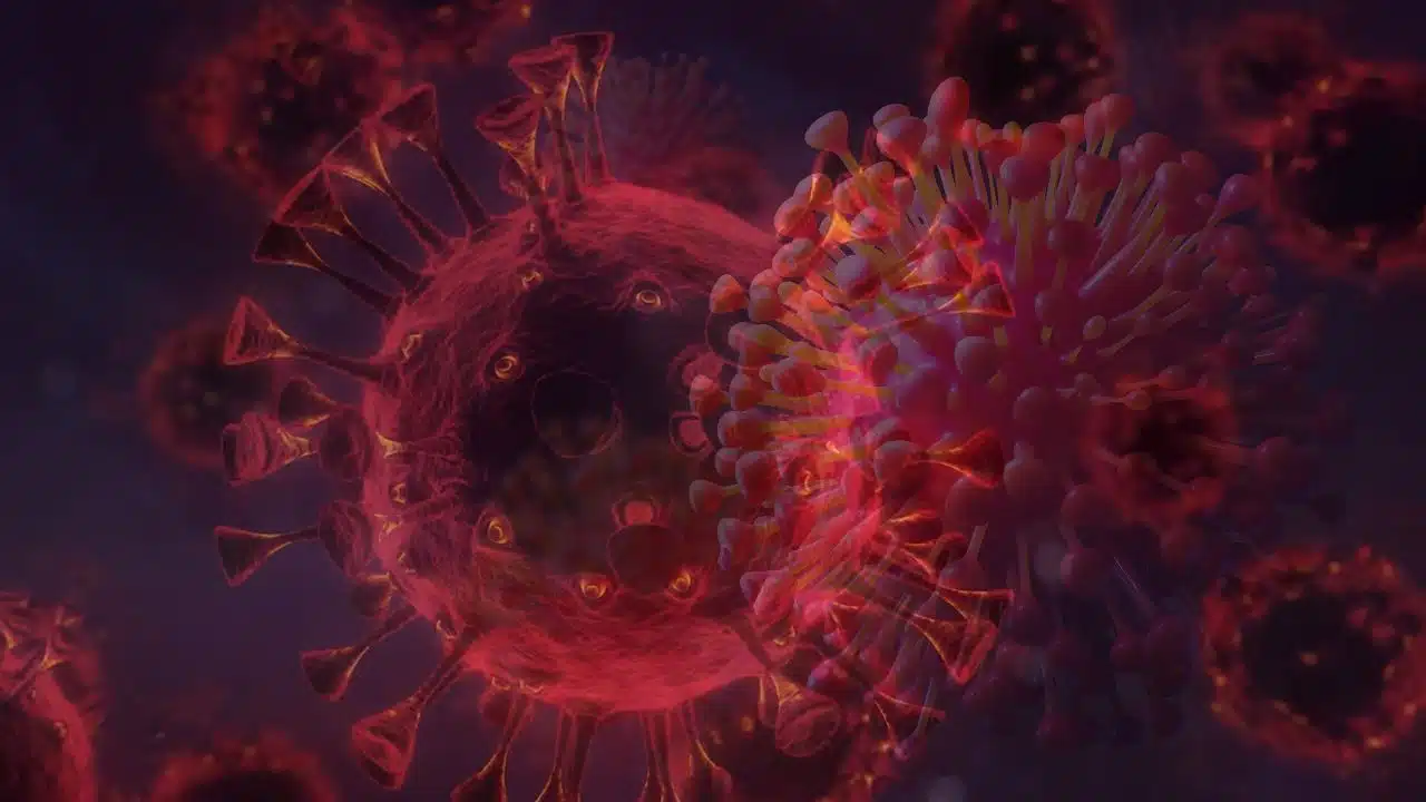 HMPV Virus in Karnataka