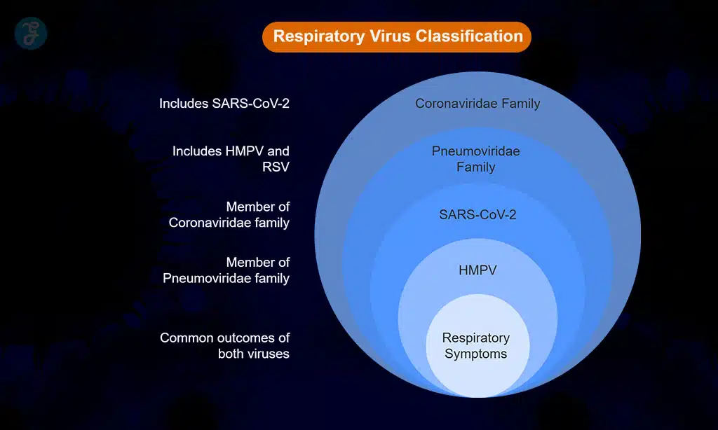 HMPV vs COVID 19- Key Similarities