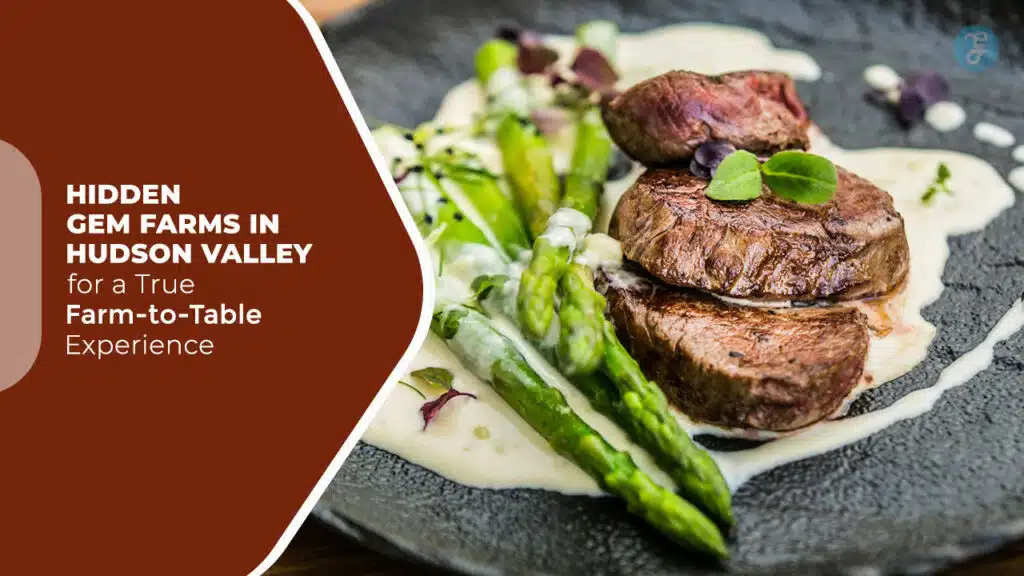 Hidden Gem Farms In Hudson Valley