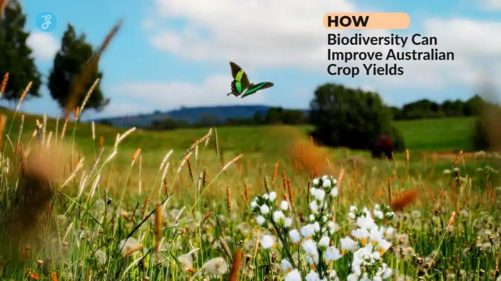 biodiversity in Australian agriculture