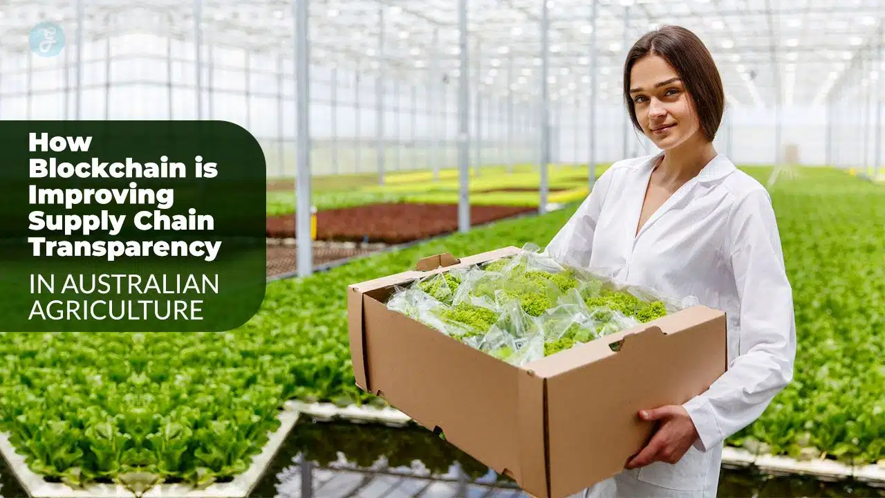 Blockchain boosts transparency in Australian agriculture
