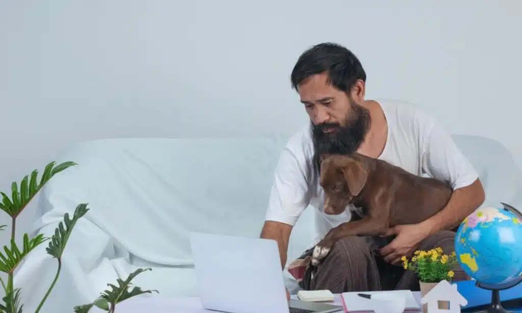 How Much Does Pet Insurance Cost in India