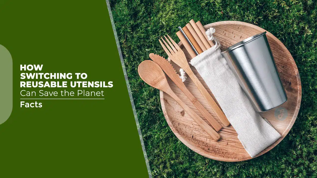 How Switching to Reusable Utensils Can Save the Planet