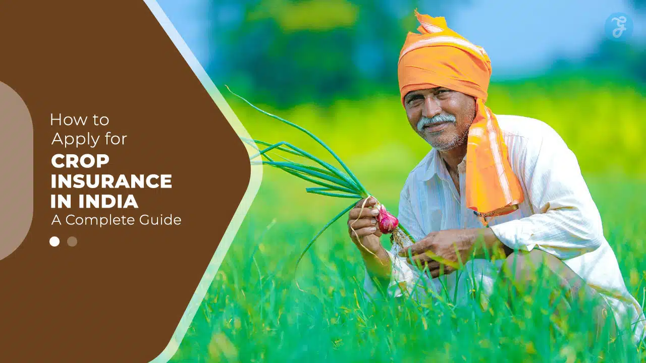 How to Apply for Crop Insurance In India