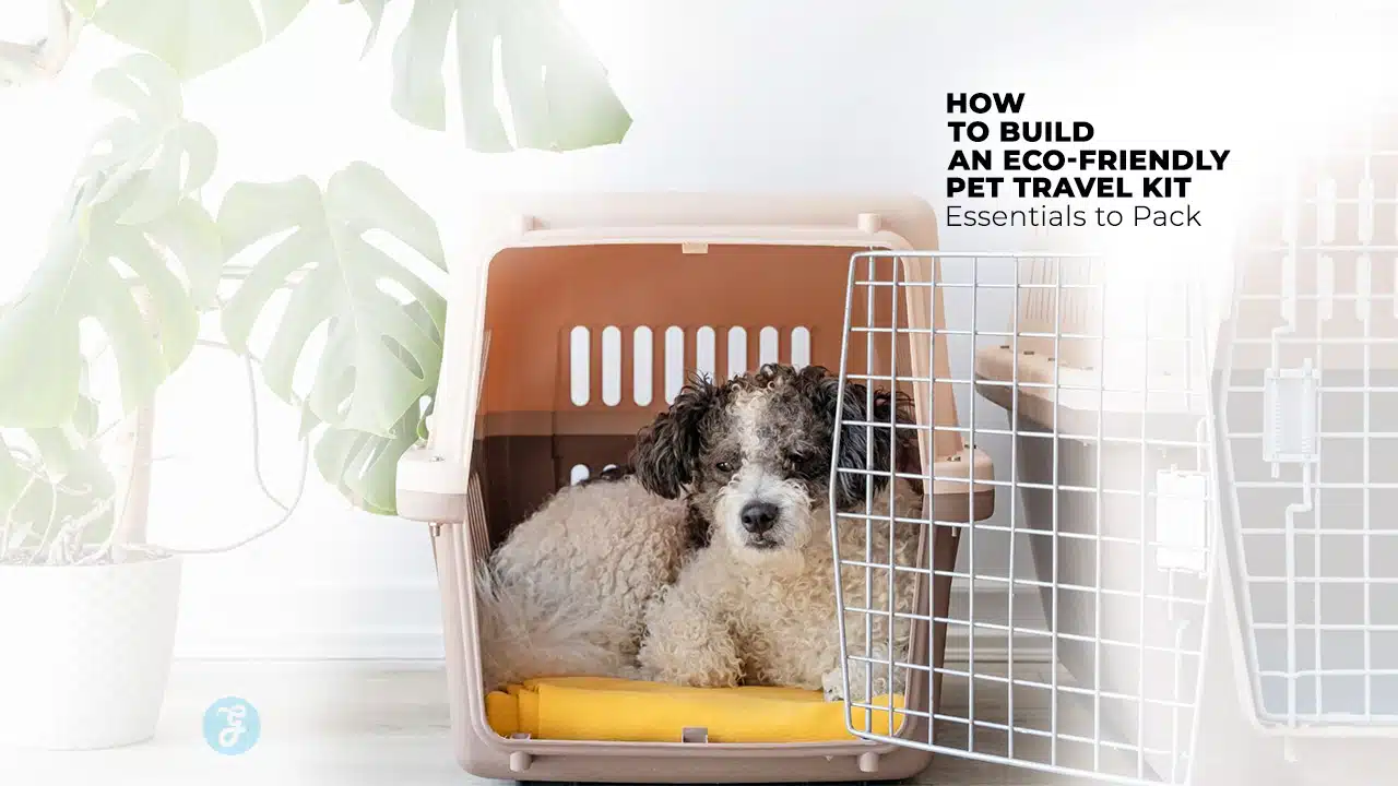 Eco-Friendly Pet Travel Kit