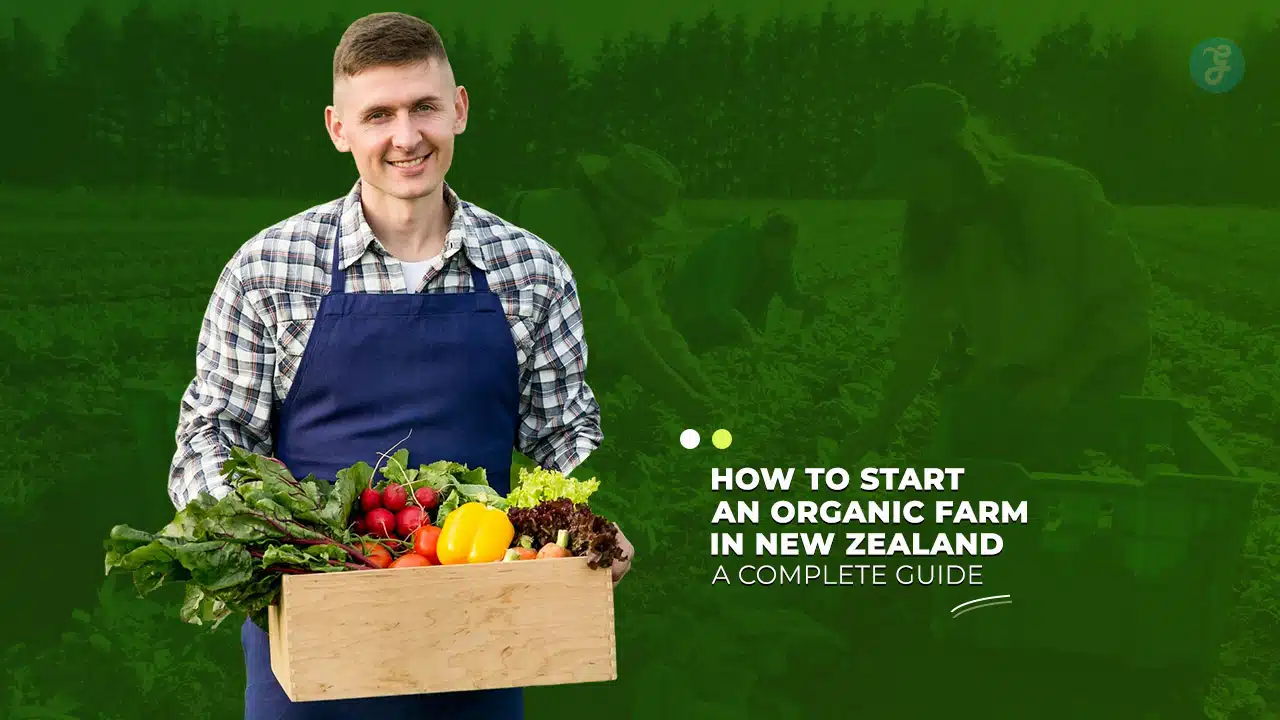 how to start an organic farm in new zealand