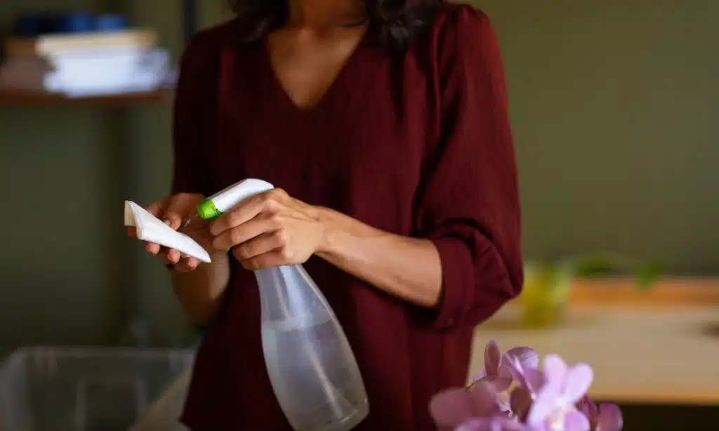 How to Transition to Non-Toxic Cleaning Essentials