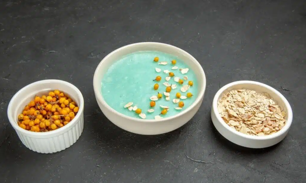 JETKONG Disposable Dog Bowls