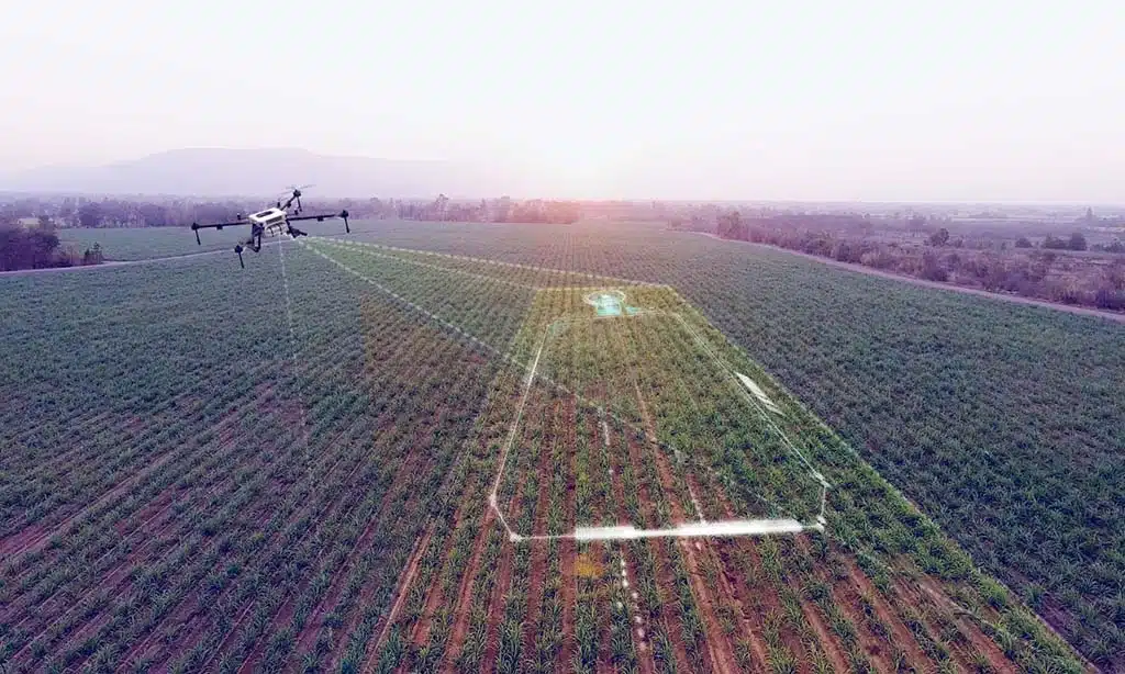 Key Applications of Drones in Australian Agriculture