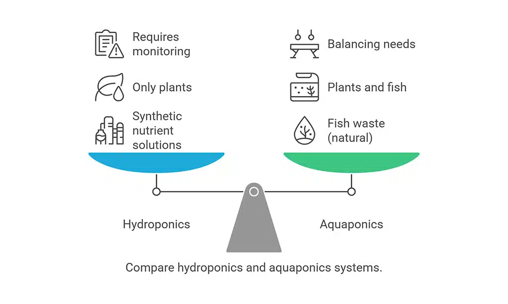 Key Differences Between Hydroponics and Aquaponics